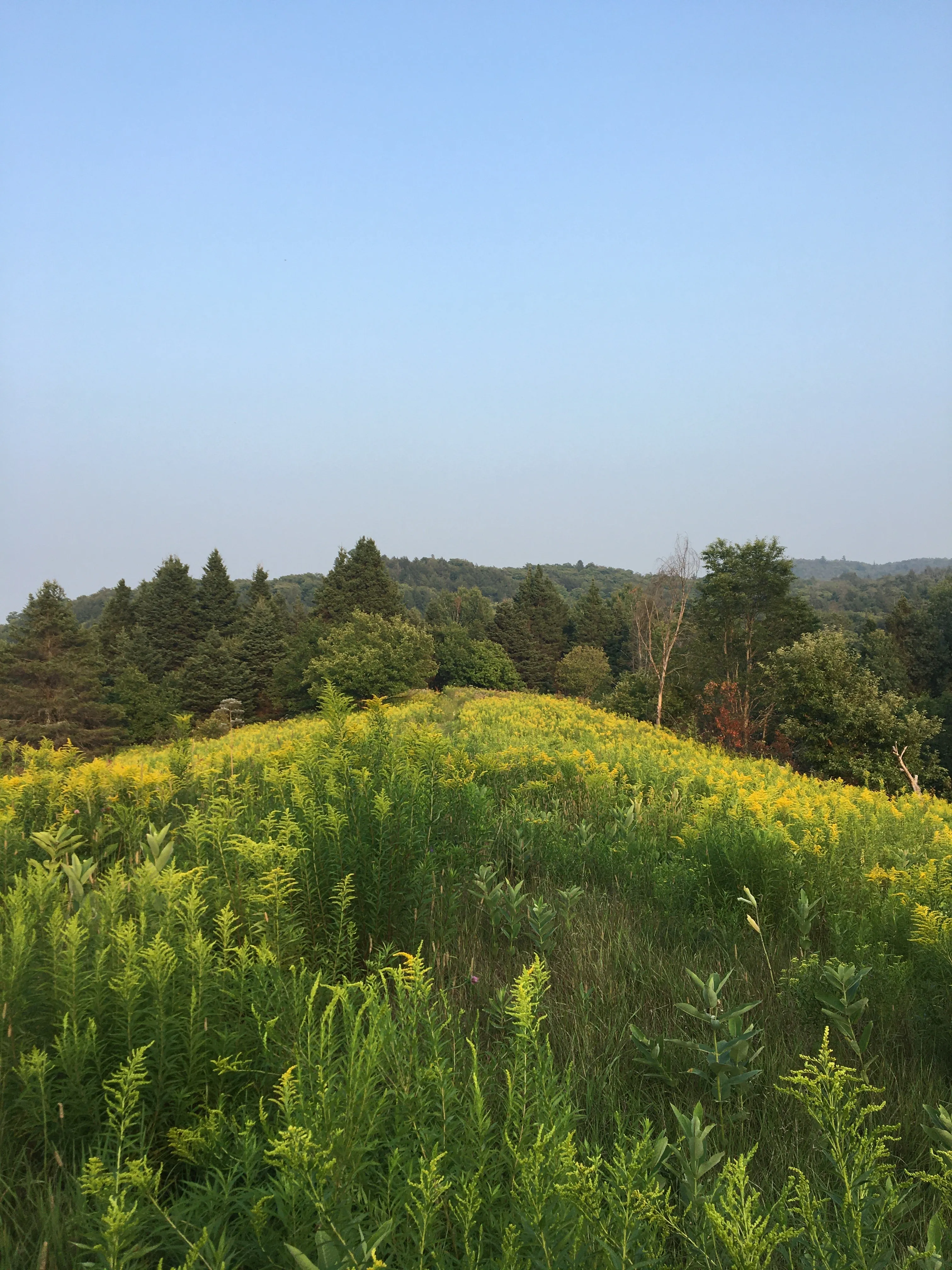 CRAFT EN CAMPAGNE workshop- Saturday August 17, 2024
