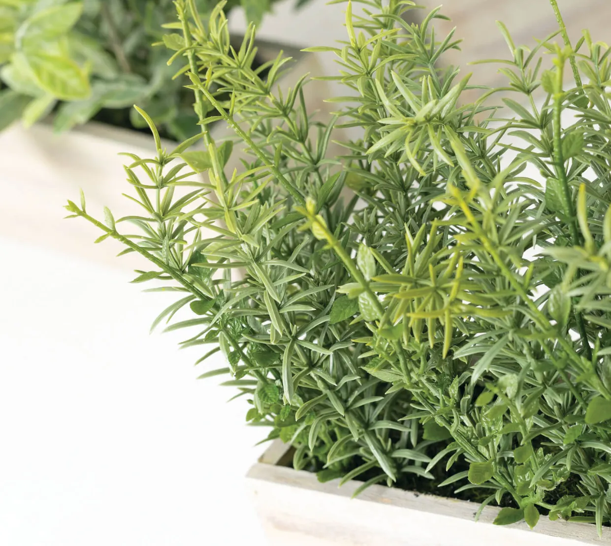Herbs Wooden Box