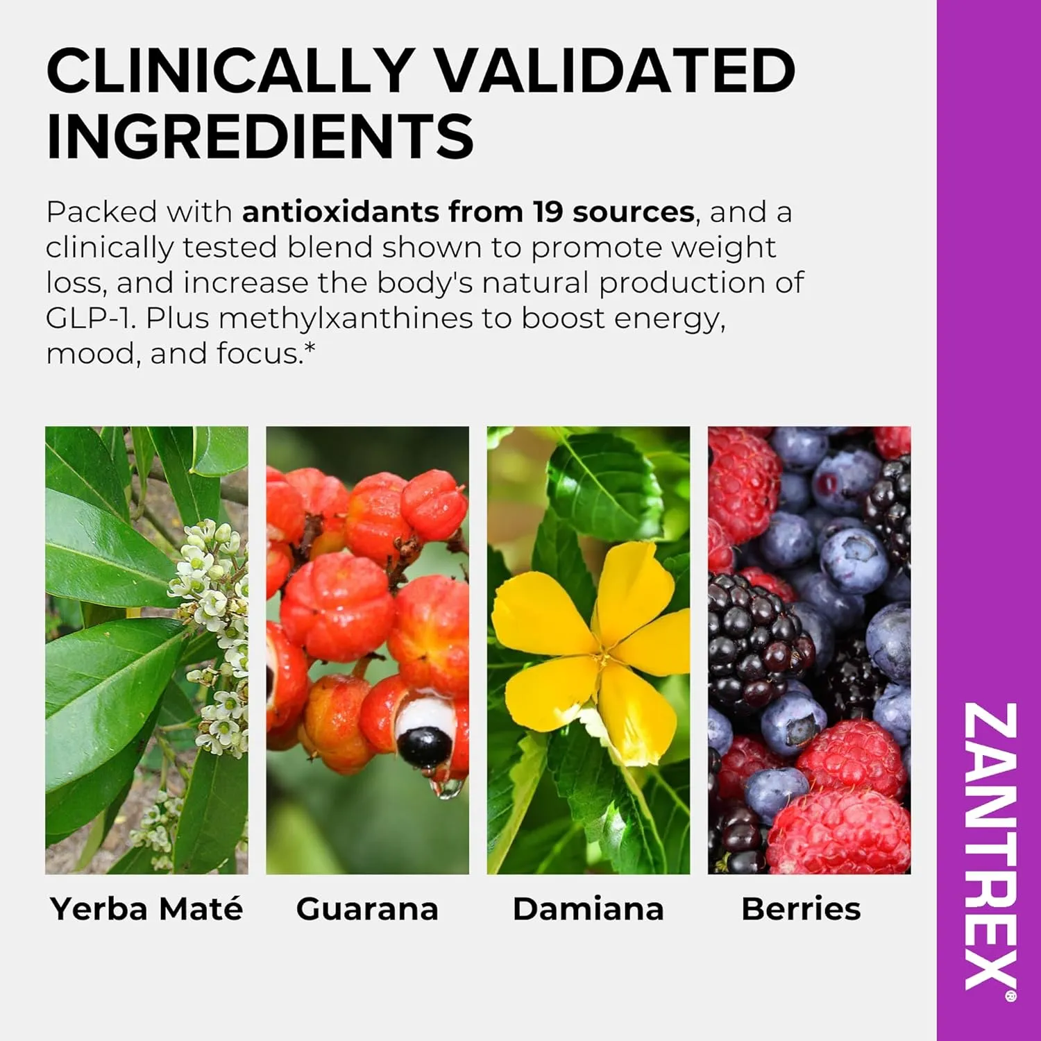 Zantrex SkinnyStix Energy Powder  Lose Weight, GLP-1, Appetite Suppressant, Boost Mood  10 Calories  Yerba Mate, Coffee Bean  30 Stix, Berry